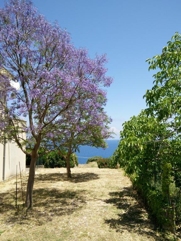 Bellavista Apartments Scopello  Rum bild